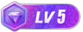 等级-LV5-IS充值【0】