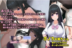 【互动触摸SLG/生肉/全动态】希望被弟袭击的姐姐 LIVE2D V1.04 步兵完全版【1.3G/CV/更新】-IS充值【0】