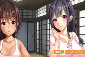 【日系AVG/安卓】乡下的无知娘[百度/微云]-IS充值【0】