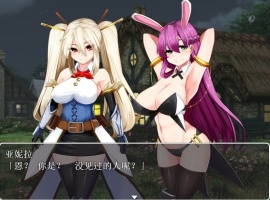 【RPG汉化】银乱的圣骑士HolyKnightBitch【+PC】完整汉化版+全CG【600M】【补档】-IS充值【0】