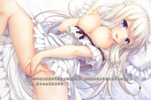 [ADV/汉化] 候鸟的梦 Pieces 渡り鳥のソムニウム 汉化版电脑 [4.4G]-IS充值【0】