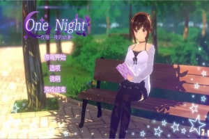 [ADV/汉化] 仅限一夜的幼妻~One Night ~官方中文版 电脑 [300M]-IS充值【0】