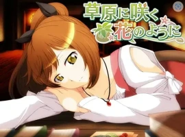 【日系RPG/AI汉化】就像草地上盛开的花朵1.0【PC+安卓/692M】-IS充值【0】