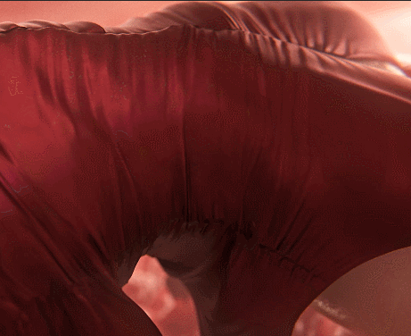 【神級3D/全動态】Nagoonimation：艾達王-觸手巢穴 4K步兵版【動畫/新作/1.6G】-IS充值【0】